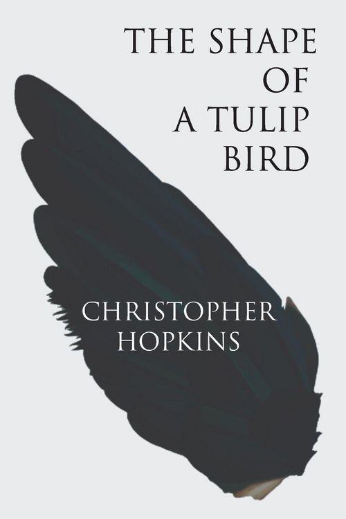 Produktbild: The Shape of a Tulip Bird