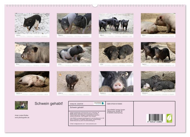 Produktbild: Schwein gehabt! (hochwertiger Premium Wandkalender 2026 DIN A2 quer), Kunstdruck in Hochglanz