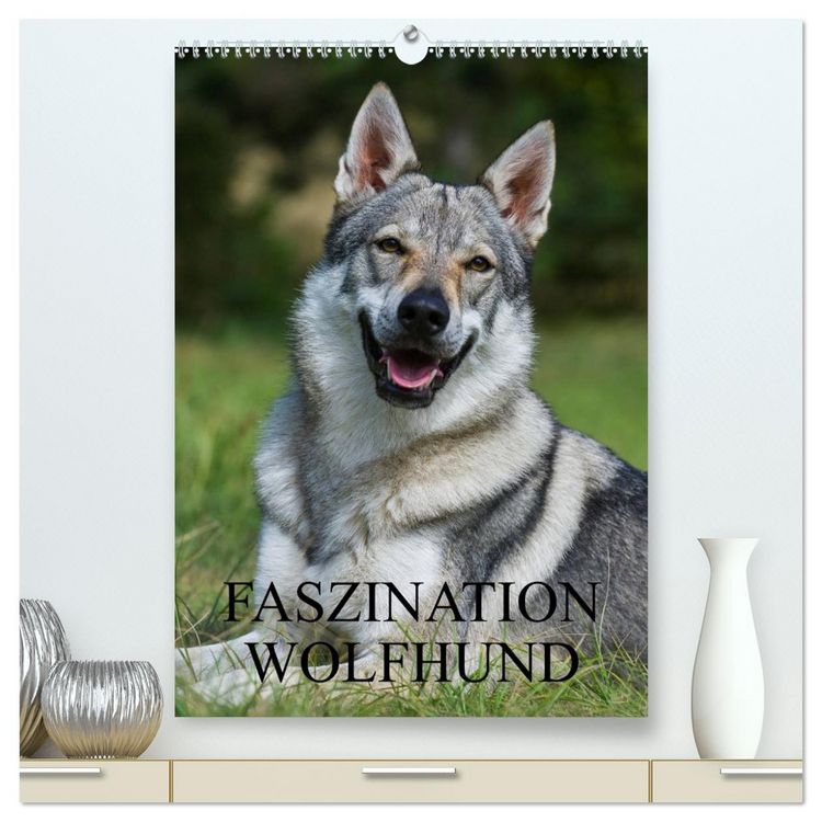 Produktbild: Faszination Wolfhund (hochwertiger Premium Wandkalender 2026 DIN A2 hoch), Kunstdruck in Hochglanz
