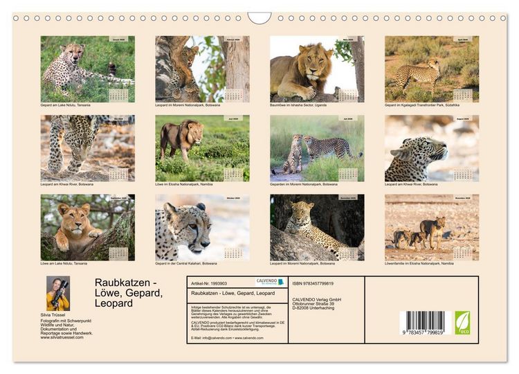 Produktbild: Raubkatzen - L&ouml;we, Gepard, Leopard (Wandkalender 2026 DIN A3 quer), CALVENDO Monatskalender
