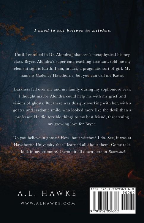Produktbild: Broomstick