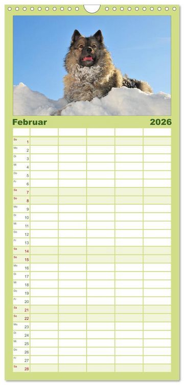 Produktbild: Familienplaner 2026 - Der Wolfsspitz mit 5 Spalten (Wandkalender, 21 x 45 cm) CALVENDO