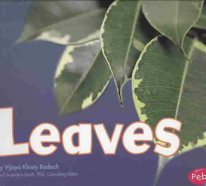 Produktbild: Leaves