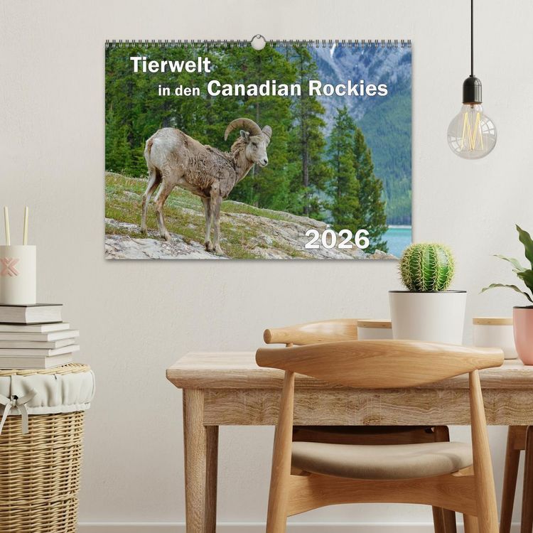 Produktbild: Tierwelt in den Canadian Rockies (Wandkalender 2026 DIN A3 quer), CALVENDO Monatskalender