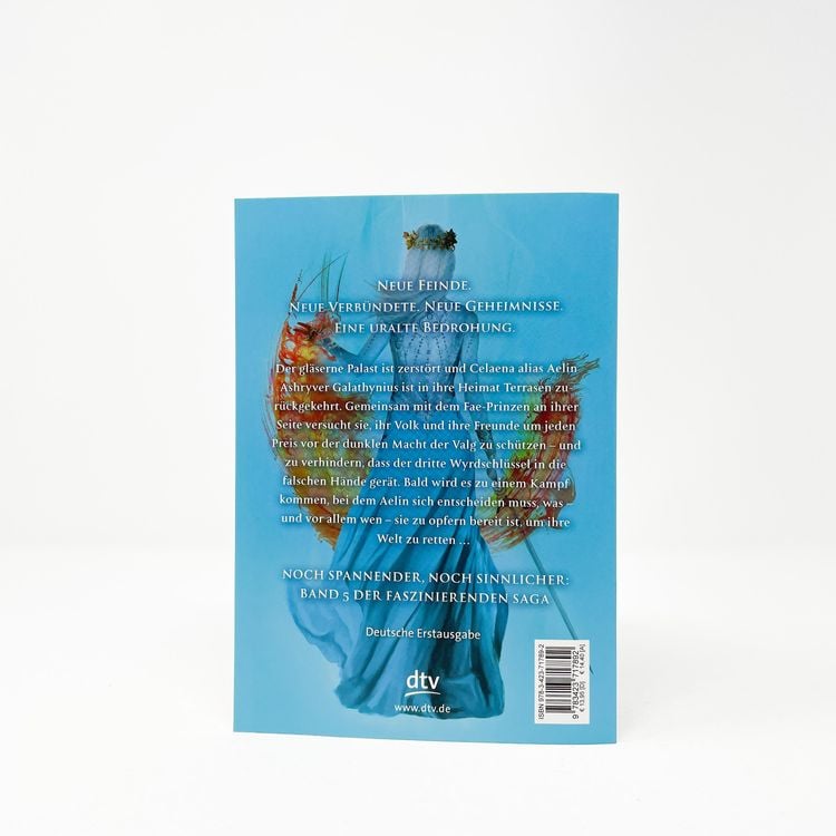 Die Sturmbezwingerin / Throne of Glass Bd. 5