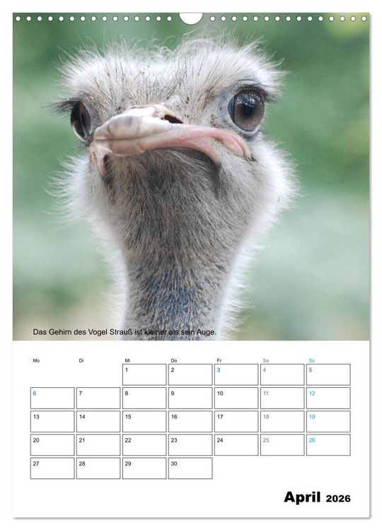 Produktbild: Liebenswerte Landtiere (Wandkalender 2026 DIN A3 hoch), CALVENDO Monatskalender