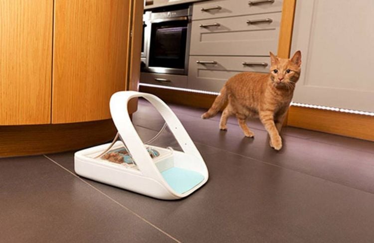 Produktbild: SureFeed Futterautomat Mikrochip chucker 400 ml Hund, Katze Wei&szlig; Steuerung &uuml;ber Chip oder RFID-Anh&auml;nger, Automatisch schlie&szlig;ender Deckel, f&uuml;r Nas