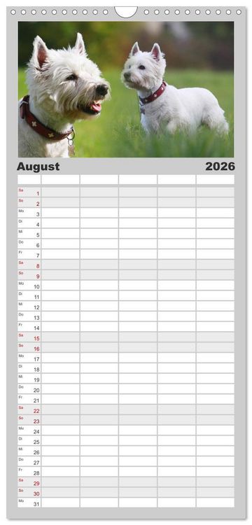 Produktbild: Familienplaner 2026 - West Highland White Terrier - Selbstbewustes Powerpaket - der Westie mit 5 Spalten (Wandkalender, 21 x 45 cm) CALVENDO