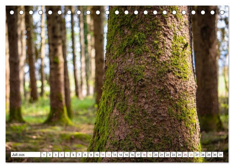 Produktbild: Natur hautnah Kalender (Tischkalender 2026 DIN A5 quer), CALVENDO Monatskalender
