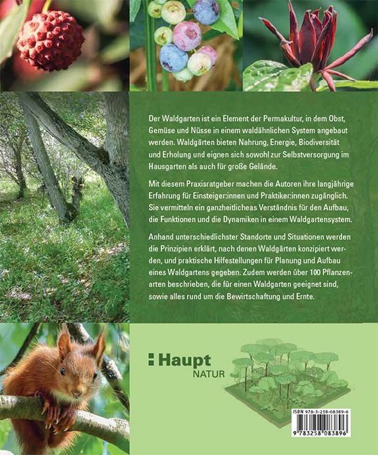 Produktbild: Praxisbuch Waldgarten