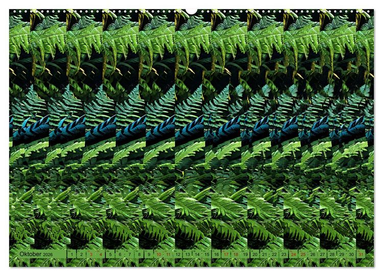 Produktbild: Magische Bilder - fantastische Stereogramme (hochwertiger Premium Wandkalender 2026 DIN A2 quer), Kunstdruck in Hochglanz