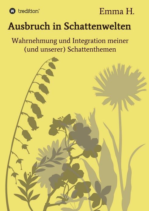 Produktbild: Ausbruch in Schattenwelten