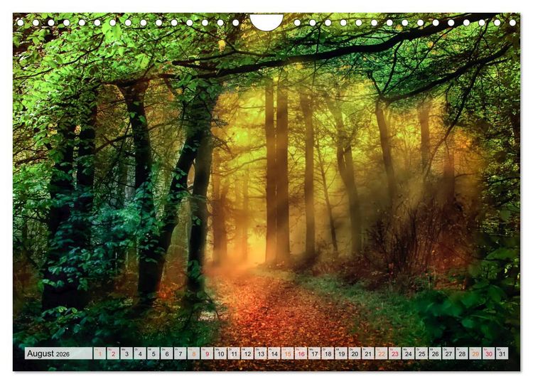 Produktbild: Wald - mystische Spazierg&auml;nge (Wandkalender 2026 DIN A4 quer), CALVENDO Monatskalender