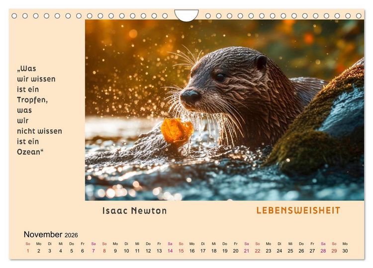 Produktbild: Pfiffig und weise (Wandkalender 2026 DIN A4 quer), CALVENDO Monatskalender