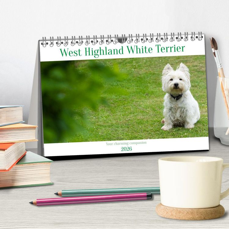Produktbild: West Highland White Terrier - Your charming companion (Desk Calendar 2026 DIN A5 landscape), CALVENDO 12 Month DeskCalendar