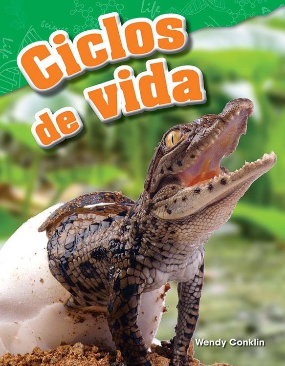 Produktbild: Ciclos de vida
