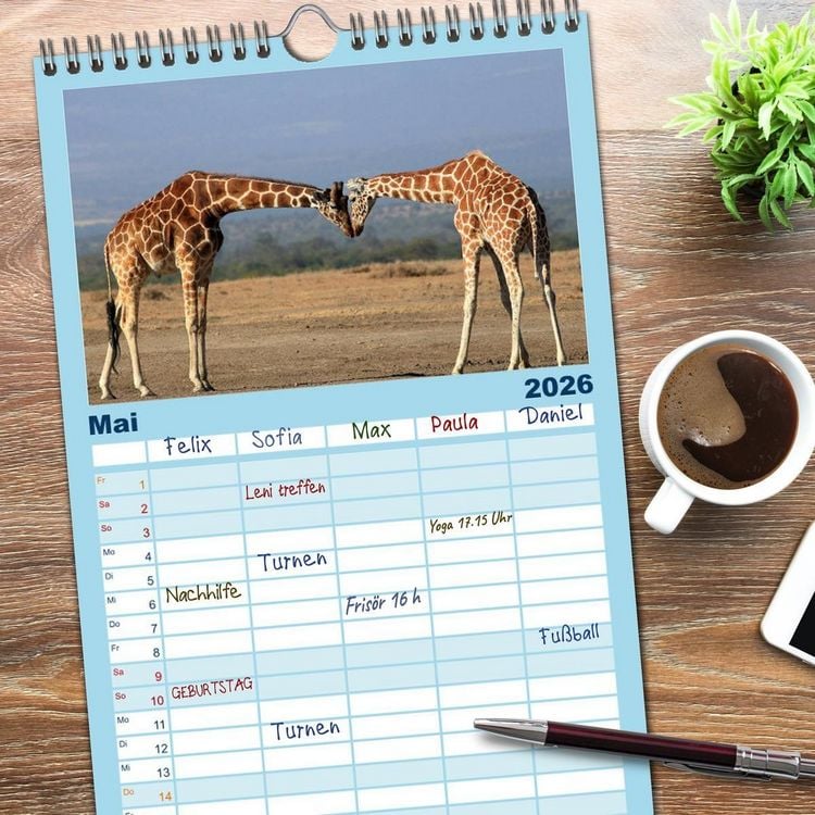 Produktbild: Familienplaner 2026 - Giraffen - Sanftheit und Anmut mit 5 Spalten (Wandkalender, 21 x 45 cm) CALVENDO