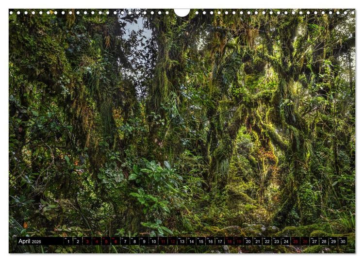 Produktbild: Trauminseln Neuseeland (Wandkalender 2026 DIN A3 quer), CALVENDO Monatskalender