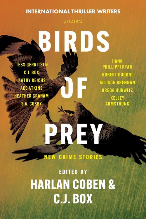 Produktbild: Birds of Prey