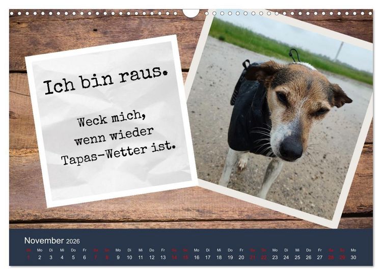Produktbild: Ratonero Bodeguero Andaluz (Wandkalender 2026 DIN A3 quer), CALVENDO Monatskalender