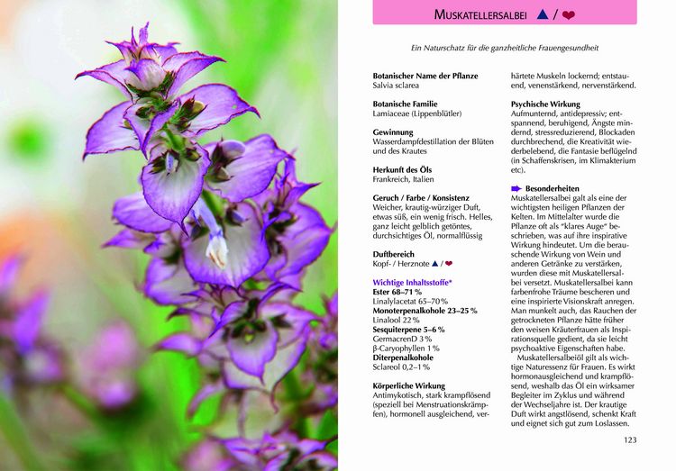 Produktbild: Handbuch &Auml;therische &Ouml;le