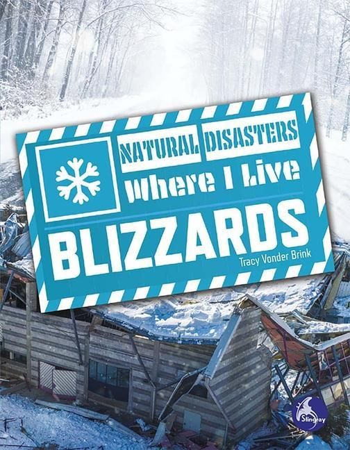 Produktbild: Blizzards