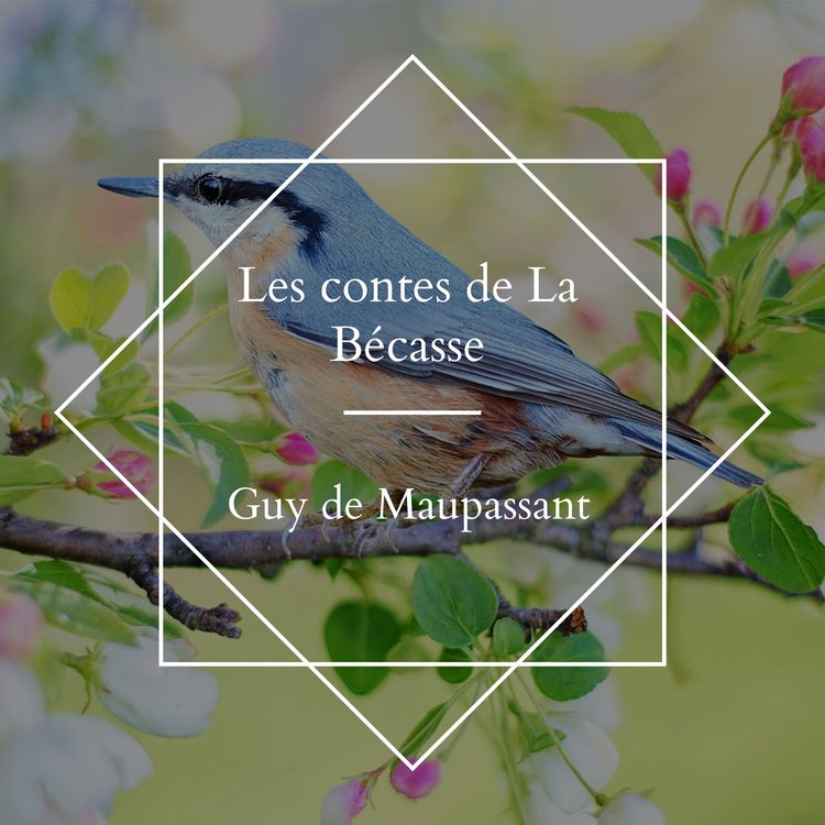 Produktbild: Les contes de La B&eacute;casse
