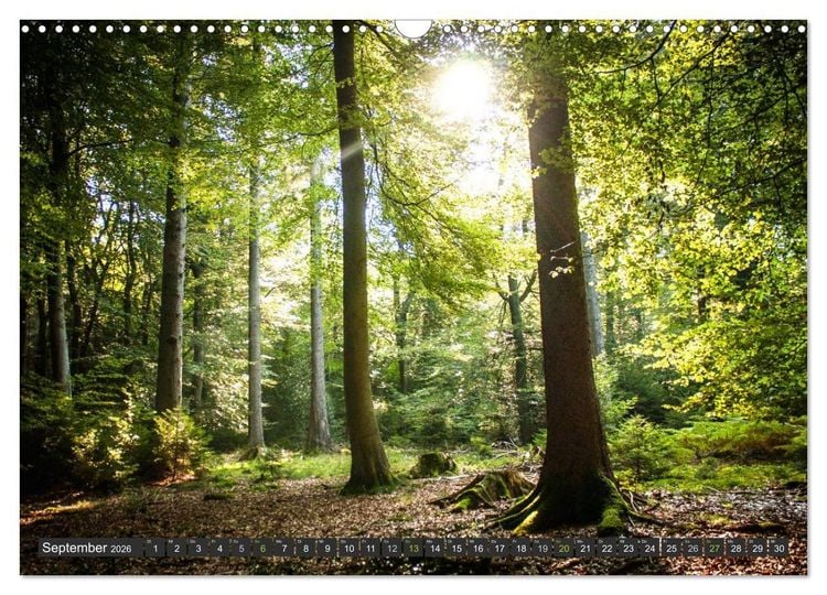 Produktbild: Unterwegs im Hunsr&uuml;ck (Wandkalender 2026 DIN A3 quer), CALVENDO Monatskalender