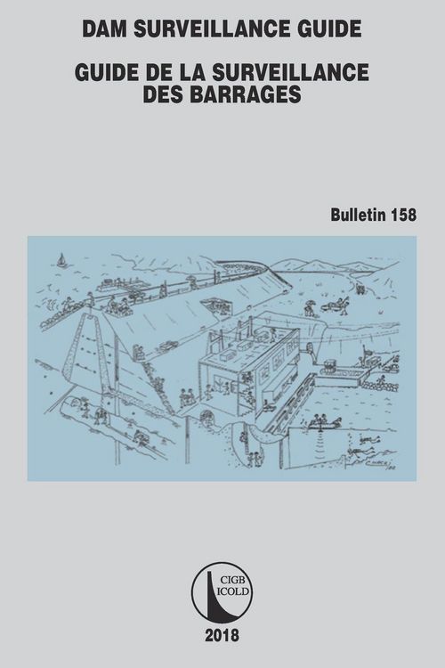 Produktbild: Dam Surveillance Guide