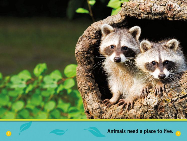 Produktbild: Animal Homes