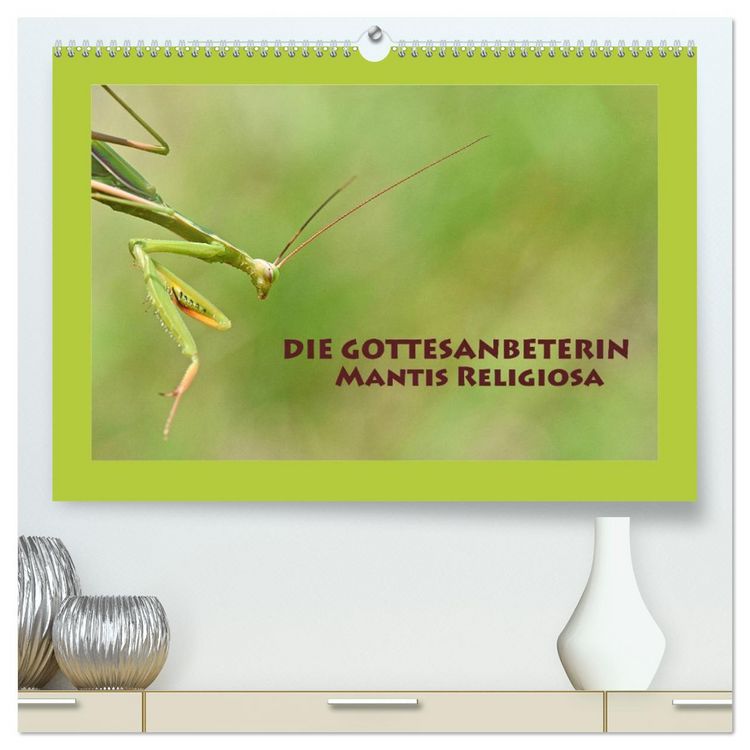 Produktbild: Die Gottesanbeterin Mantis Religiosa (hochwertiger Premium Wandkalender 2026 DIN A2 quer), Kunstdruck in Hochglanz