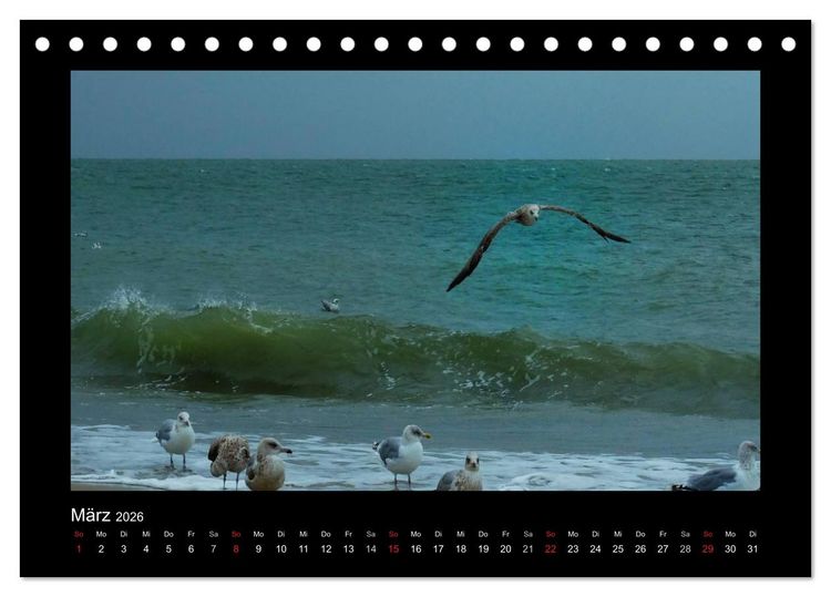 Produktbild: An der Nordsee (Tischkalender 2026 DIN A5 quer), CALVENDO Monatskalender