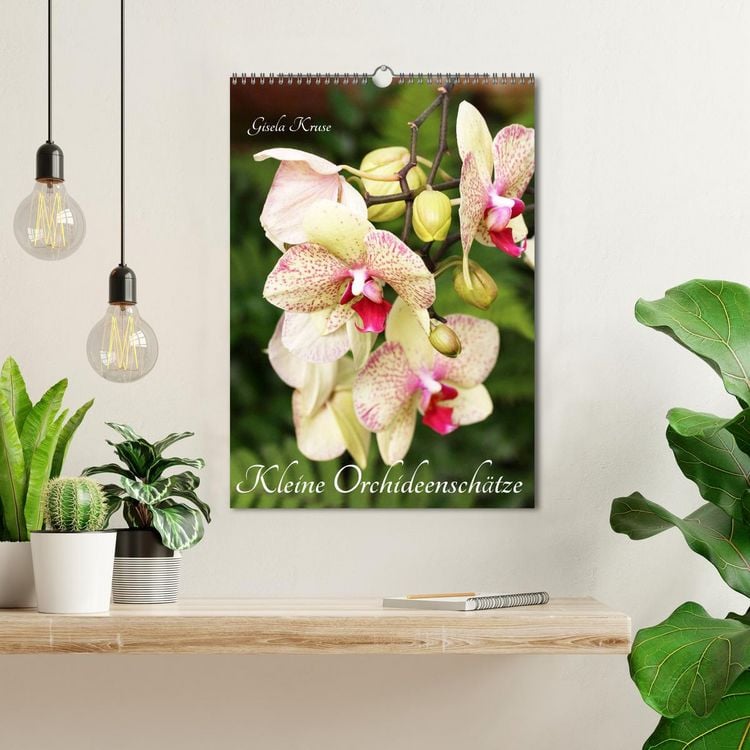 Produktbild: Kleine Orchideensch&auml;tze (Wandkalender 2026 DIN A3 hoch), CALVENDO Monatskalender