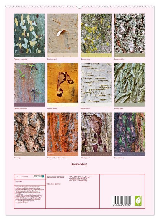 Produktbild: Baumhaut (hochwertiger Premium Wandkalender 2026 DIN A2 hoch), Kunstdruck in Hochglanz