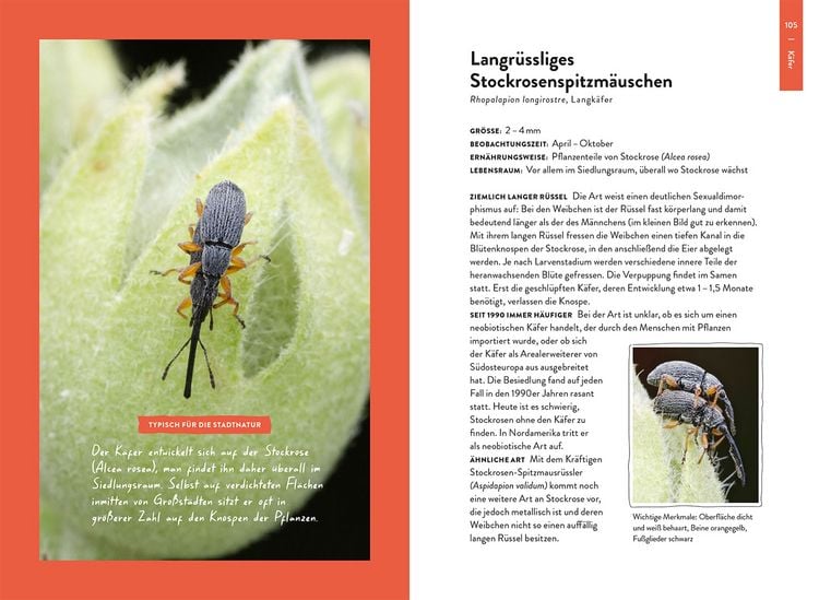 Produktbild: Nature Guide Insekten