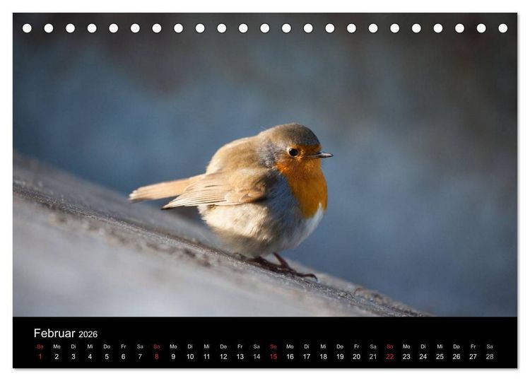Produktbild: Tierkalender 2026 (Tischkalender 2026 DIN A5 quer), CALVENDO Monatskalender