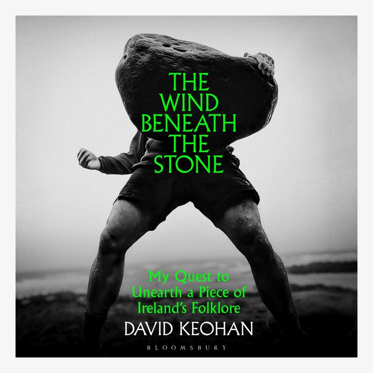 Produktbild: The Wind Beneath the Stone
