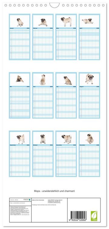 Produktbild: Familienplaner 2026 - Mops - unwiderstehlich und charmant mit 5 Spalten (Wandkalender, 21 x 45 cm) CALVENDO