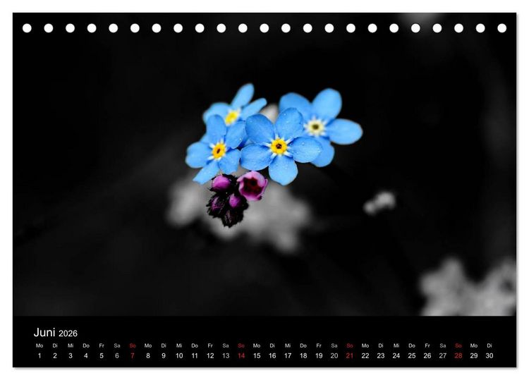 Produktbild: Farbtupfer (Tischkalender 2026 DIN A5 quer), CALVENDO Monatskalender