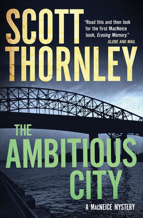 Produktbild: The Ambitious City