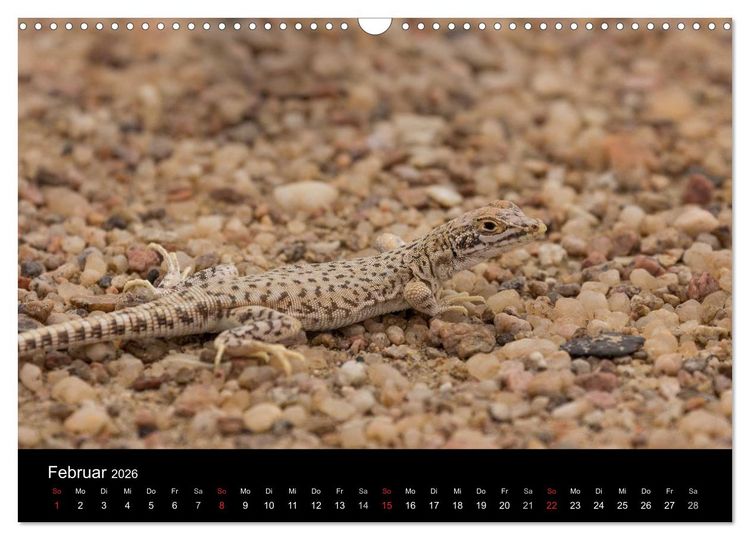 Produktbild: Wundersch&ouml;nes Namibia (Wandkalender 2026 DIN A3 quer), CALVENDO Monatskalender