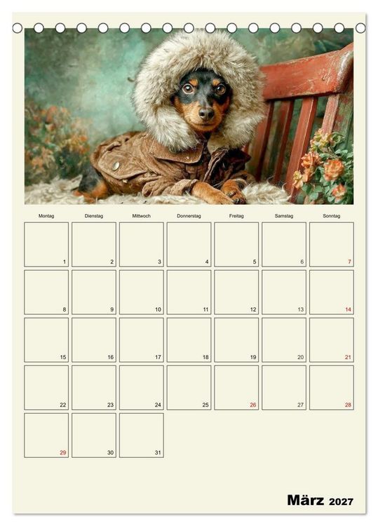 Produktbild: Schnuten im Herbstlicht. Kleine Hunde in stillen Momenten (Tischkalender 2027 DIN A5 hoch), CALVENDO Monatskalender