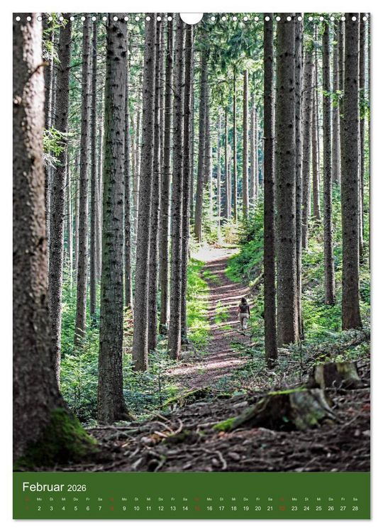 Produktbild: Schwarzwald Nord (Wandkalender 2026 DIN A3 hoch), CALVENDO Monatskalender