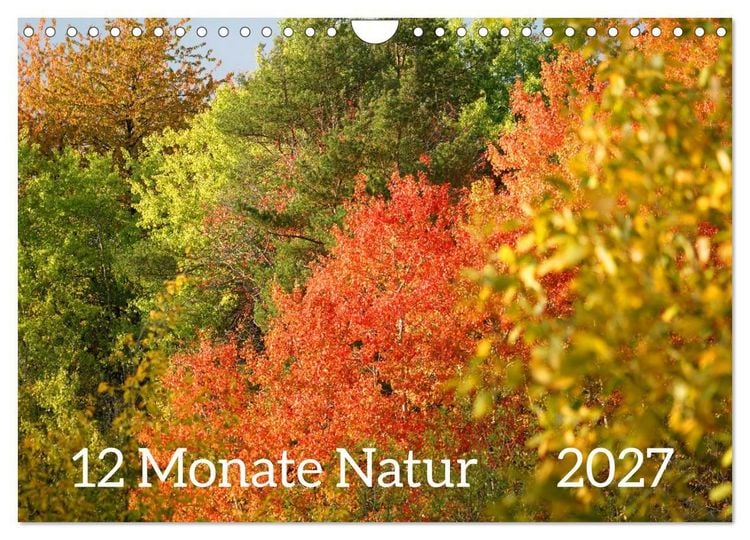 Produktbild: 12 Monate Natur (Wandkalender 2027 DIN A4 quer), CALVENDO Monatskalender