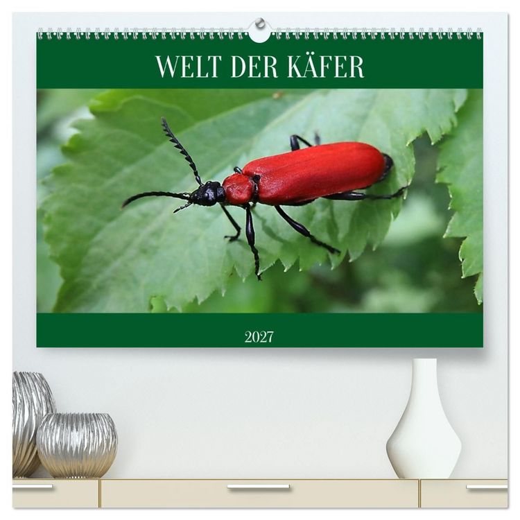 Produktbild: WELT DER K&Auml;FER (hochwertiger Premium Wandkalender 2027 DIN A2 quer), Kunstdruck in Hochglanz