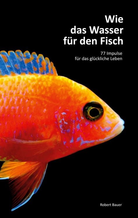 Produktbild: Wie das Wasser f&uuml;r den Fisch