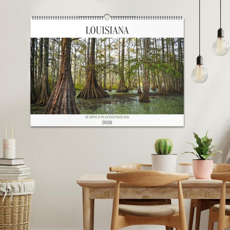 Produktbild: Louisiana - S&uuml;mpfe und Plantagenh&auml;user (Wandkalender 2026 DIN A2 quer), CALVENDO Monatskalender