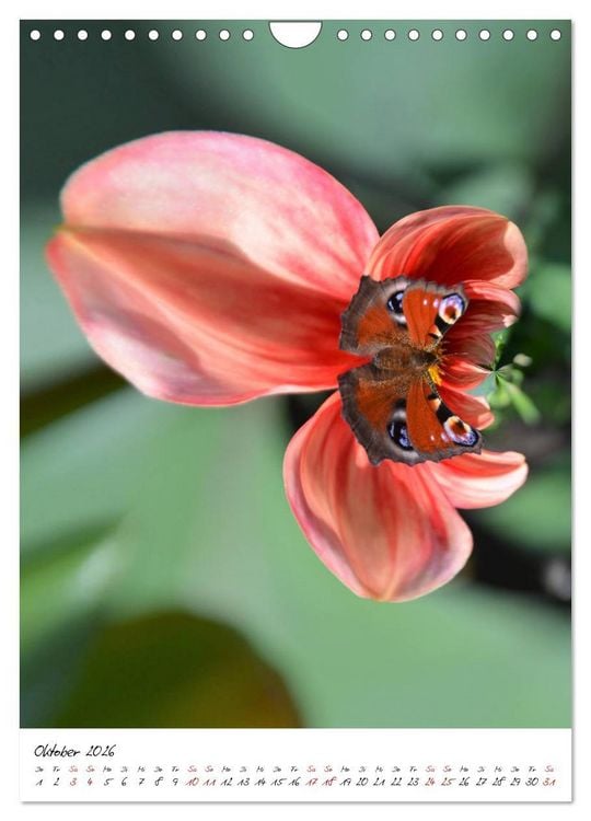 Produktbild: Durchschnittlich - Verzauberte Flora (Wandkalender 2026 DIN A4 hoch), CALVENDO Monatskalender
