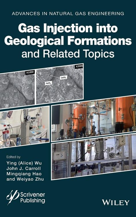Produktbild: Gas Injection Geological Forma