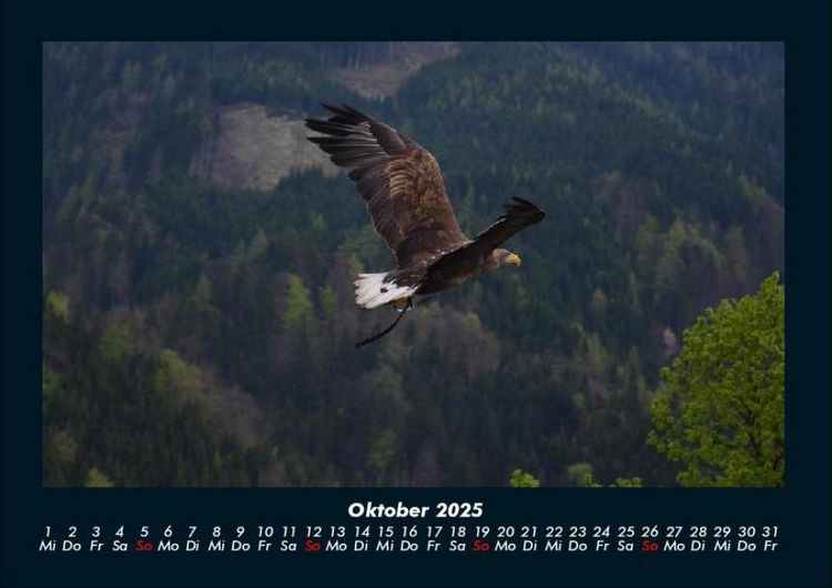 Produktbild: Adler 2025 Fotokalender DIN A4